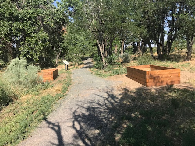 The Sensory Garden Trail