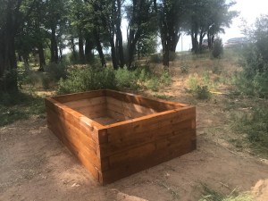 Plant Box for the Sensory Garden