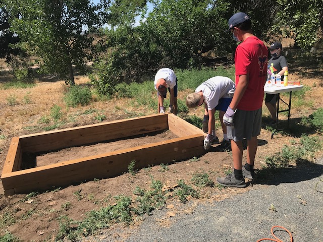 Working on The Sensory Garden