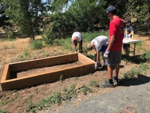Working on The Sensory Garden